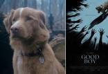 فیلم ترسناک,فیلم ترسناک Good Boy