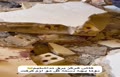 فیلم | روایت تلخ مادر از مرگ دو دخترش بر اثر قطع برق در گلستان