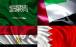 قطر عربستان و مصر,چند کشور عربی خواستار تسلیم شدن حماس