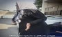 فیلم | التماس مادر قاتل به مادر الهه حسین‌نژاد مقابل دادگاه