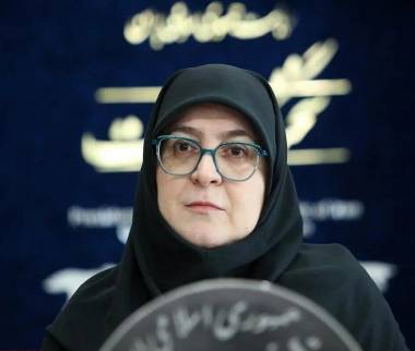 فاطمه مهاجرانی,سخنگوی دولت