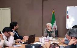 سعید جلیلی,دولت سایه