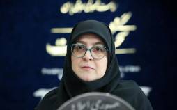 فاطمه مهاجرانی,سخنگوی دولت