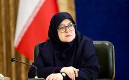 فاطمه مهاجرانی,سخنگوی دولت