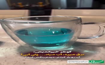 فیلم | اظهارات عجیب گوهر خیراندیش به قطعی آب و برق
