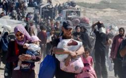 تصاویر فرار فلسطینی‌ها از شهر غزه,تصاویر مردم شهر غزه,تصاویر فرار مردم فلسطین