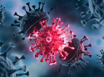 نمونههای PCR نمونههای PCR, موارد ابتلا به آنفلوآنزا و کرونا