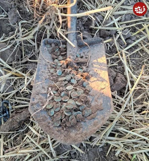 سکه سکه,گنج سکّههای 400 ساله در لهستان