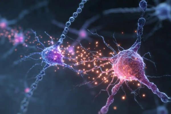 ژن آلزایمر,یک کشف جدید درباره جهش ژن آلزایمر