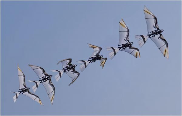 ربات پرنده,ربات روبوفالکون