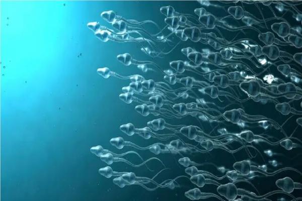 اسپرم,تبدیل اسپرم‌ها به میکروربات‌های قابل ردیابی برای دارورسانی