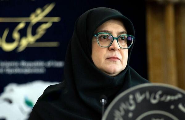 فاطمه مهاجرانی,سخنگوی دولت