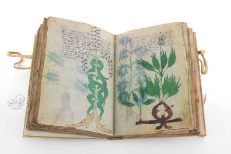 نسخه خطی وینیچ نسخه خطی وینیچ,کتابی باستانی,نسخه خطی ۵۰۰ ساله
