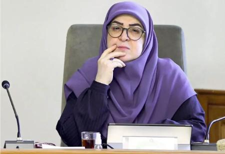 سخنگوی دولت,افزایش قیمت دلار