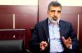 بهروز کمالوندی,سخنگوی سازمان انرژی اتمی