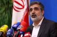بهروز کمالوندی,سخنگوی سازمان انرژی اتمی