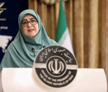 فاطمه مهاجرانی,سخنگوی دولت