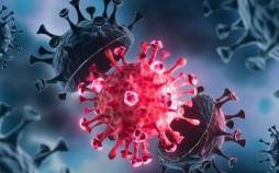 نمونه‌های PCR, موارد ابتلا به آنفلوآنزا و کرونا