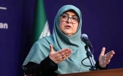 فاطمه مهاجرانی,سخنگوی دولت