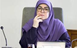 سخنگوی دولت,افزایش قیمت دلار
