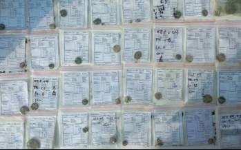 سکه تاریخی,کشف ۱۰۰ سکه تاریخی در اصفهان
