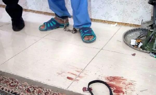 قتل,۲۴ قتل خانوادگی در ۵۳ روز