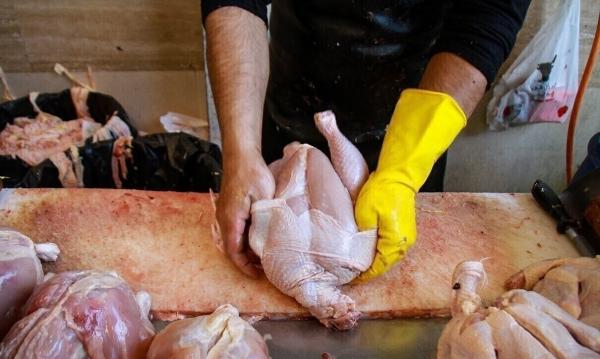 مرغ دولتی,قیمت مرغ دولتی