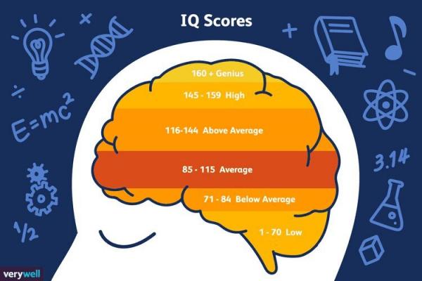 هوش,باهوش‌ترین انسان جهان در سال ۲۰۲۵