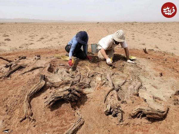 دیوار,دیوار مرموز در معمای یک دیوار کمترشناخته شده در قلب صحرا