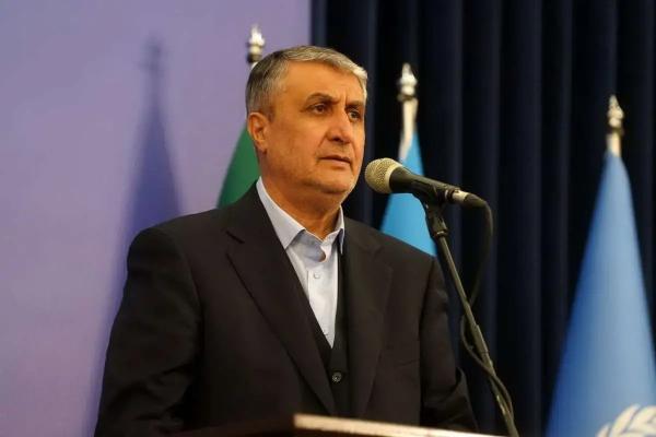 محمد اسلامی,رئیس سازمان انرژی اتمی