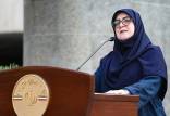 فعال شدن مکانیسم ماشه و برنامه دولت,سخنگوی دولت