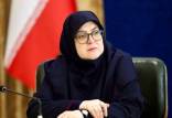 فاطمه مهاجرانی,سخنگوی دولت