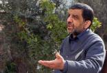 ضرغامی,صحبت های ضرغامی درباره گشت ارشاد