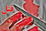 قتل,قتل پزشک سرشناس با الگوبرداری از یک سریال