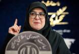 فاطمه مهاجرانی,سخنگوی دولت