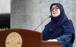 فعال شدن مکانیسم ماشه و برنامه دولت,سخنگوی دولت