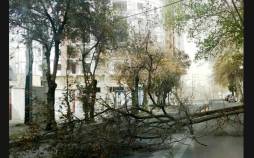 طوفان,طوفان مرگبار در تایوان
