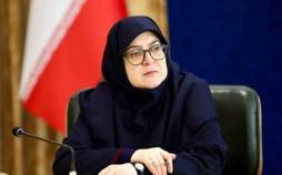 فاطمه مهاجرانی,سخنگوی دولت