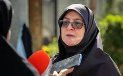فاطمه مهاجرانی,سخنگوی دولت