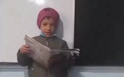 دانش آموز افغانی,اخراج یک معلم به دلیل تحقیر دانش‌آموز افغان