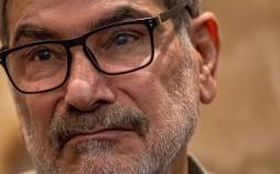 علی شمخانی,واکنش ها به فیلم عروسی دختر شمخانی