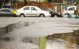 بارش باران در شمال کشور ادامه دارد باران در ایران,بارش باران در شمال کشور