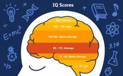 باهوشترین انسان جهان در سال ۲۰۲۵ معرفی شد هوش,باهوشترین انسان جهان در سال ۲۰۲۵
