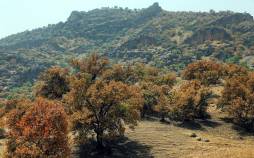 زاگرس,نابودی زاگرس