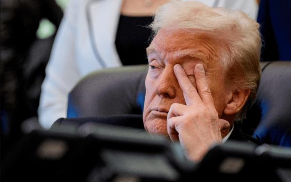 دونالد ترامپ دونالد ترامپ,رئیس جمهور آمریکا