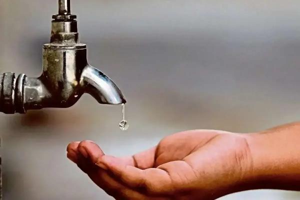 برنج برنج, پیش فروش برنج