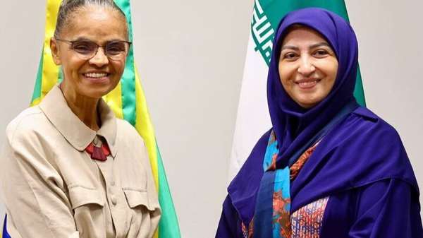 شینا انصاری,رئیس سازمان محیط زیست