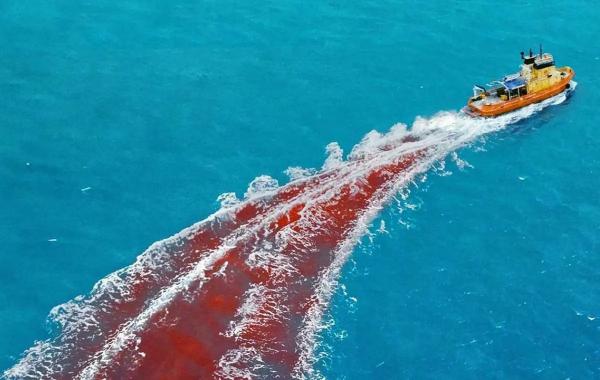 فیلم ترسناک,بهترین فیلم‌های ترسناک ۲۰۲۵