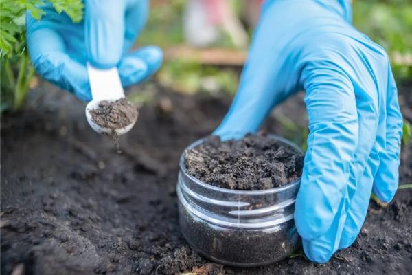 آنتی‌بیوتیک,کشف آنتی‌بیوتیک با توانایی نابودی مقاوم ترین باکتری ها