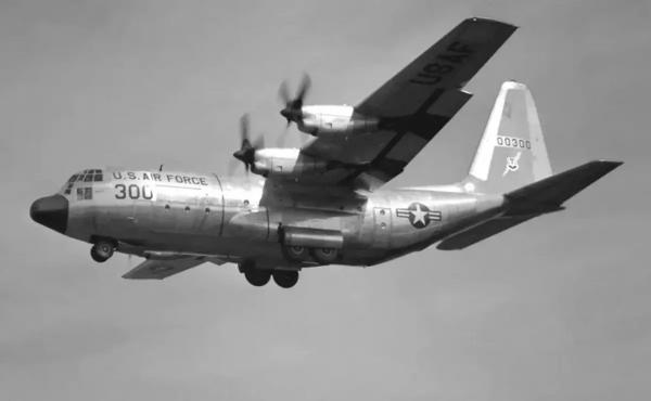 سقوط هواپیما ارتش ترکیه,سقوط هواپیمای سی-۱۳۰ ارتش ترکیه در گرجستان